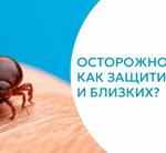 Клещевой энцефалит: как защитить себя и близких