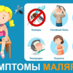 Симптомы малярии