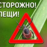 Защити себя от клеща!