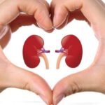 Всемирный день почки Как сохранить здоровье «главного фильтра» организма?